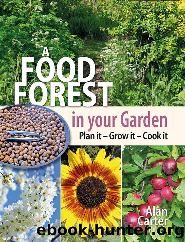 A Food Forest in Your Garden: Plan It, Grow It, Cook It by Alan Carter