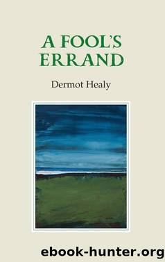 A Fool's Errand by Dermot Healy