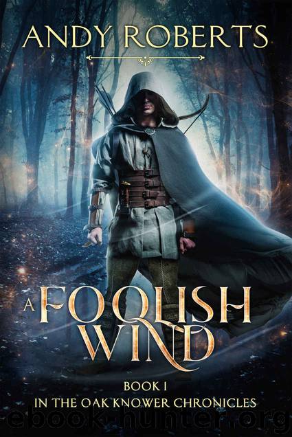A Foolish Wind by Andy Roberts