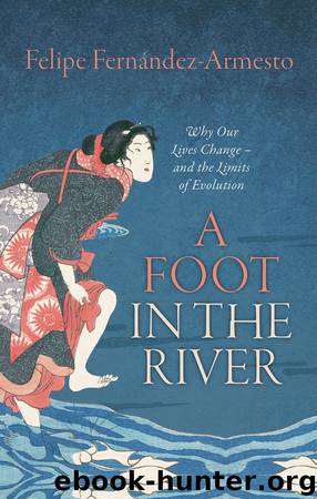 A Foot in the River by Fernández-Armesto Felipe;