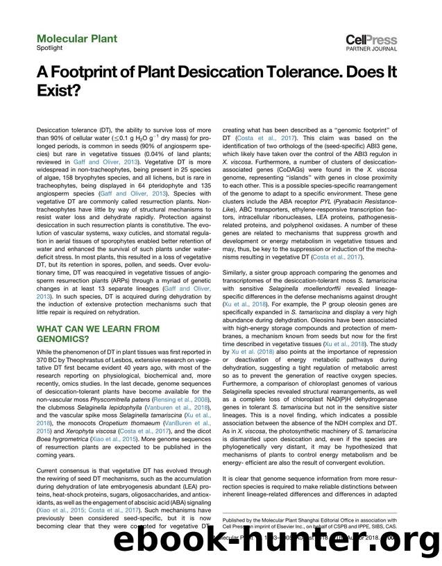 A Footprint of Plant Desiccation Tolerance. Does It Exist? by Henk W.M. Hilhorst & Maria-Cecília D. Costa & Jill M. Farrant