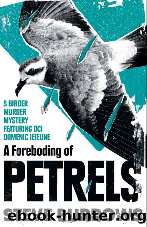 A Foreboding of Petrels by Steve Burrows