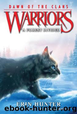 A Forest Divided by Erin Hunter & Wayne McLoughlin