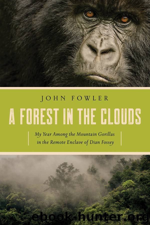 A Forest in the Clouds by John Fowler