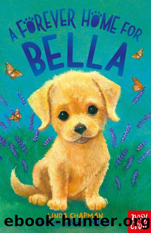 A Forever Home for Bella by Linda Chapman