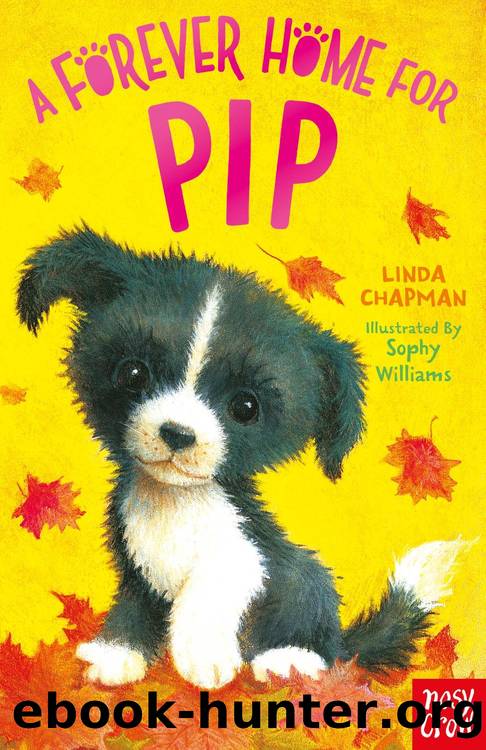 A Forever Home for Pip by Linda Chapman