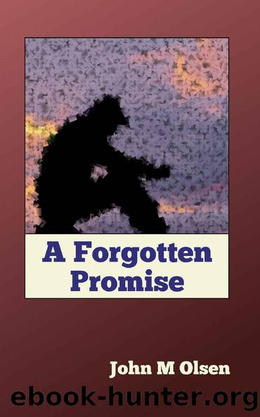 A Forgotten Promise by John M Olsen