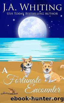 A Fortunate Encounter by J. A. Whiting