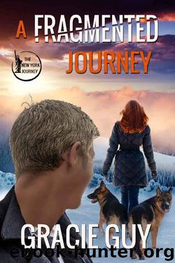 A Fragmented Journey (The New York Journey Book 1) by Gracie Guy