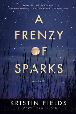A Frenzy of Sparks: A Novel by Kristin Fields