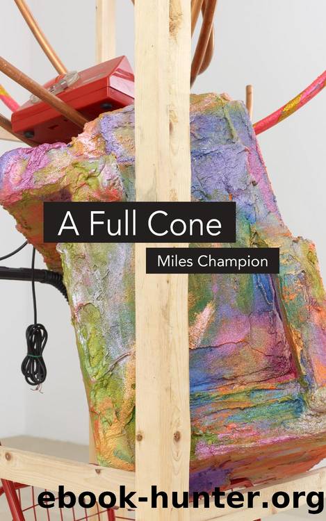 A Full Cone by Miles Champion