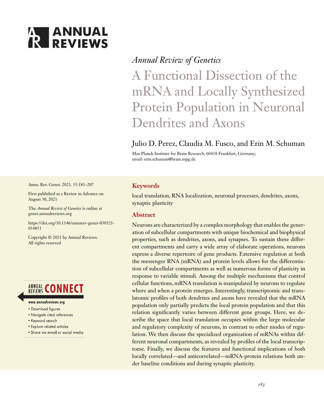 A Functional Dissection of the mRNA and Locally Synthesized Protein Population in Neuronal Dendrites and Axons by Julio D. Perez Claudia M. Fusco and Erin M. Schuman