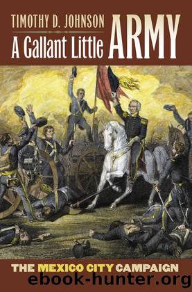 A Gallant Little Army by Timothy D. Johnson