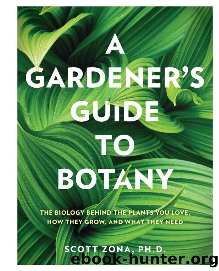 A Gardener's Guide to Botany by Zona Scott;
