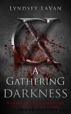 A Gathering Darkness by Lyndsey LaVan