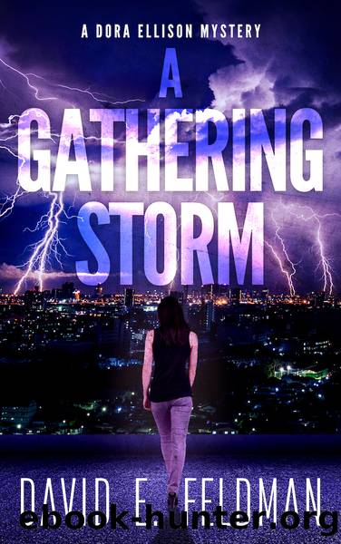 A Gathering Storm by David E. Feldman