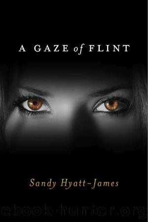 A Gaze of Flint by Sandy Hyatt-James