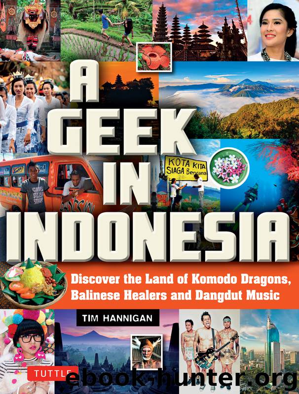 A Geek in Indonesia by Tim Hannigan