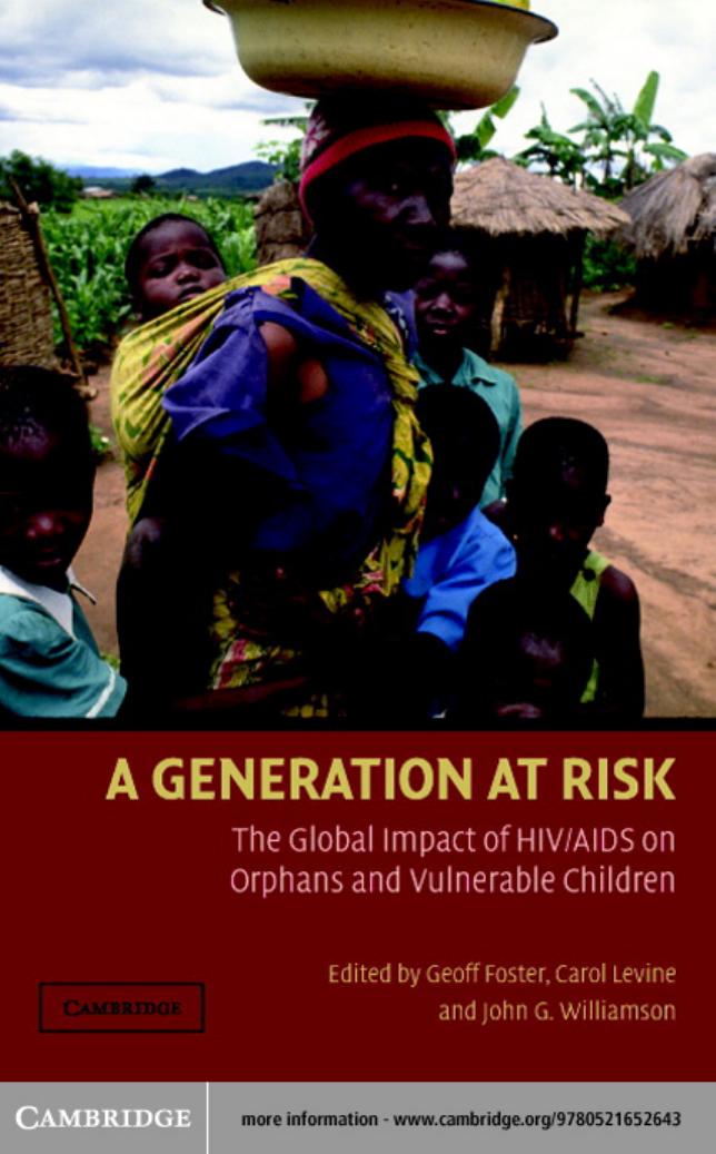 A Generation at Risk: The Global Impact of HIV AIDS on Orphans and Vulnerable Children by John Williamson