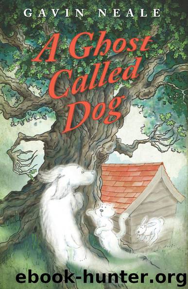A Ghost called Dog 978-1-910077-90-0 by Gavin Neale