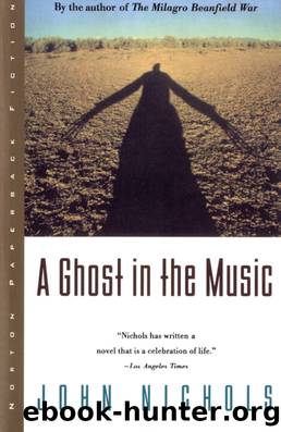 A Ghost in the Music by John Nichols