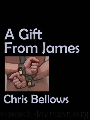 A Gift From James by Chris Bellows