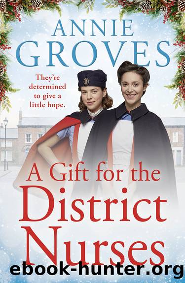 A Gift for the District Nurses by Annie Groves