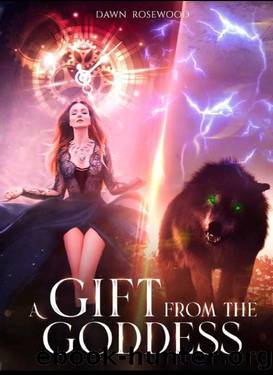 A Gift from the Goddess Book 1: (A Seccond Chance Werewolf Mate Romance) by Dawn Rosewood