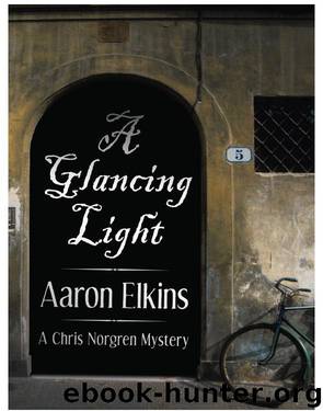 A Glancing Light (A Chris Norgren Mystery) by Aaron Elkins