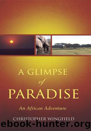 A Glimpse of Paradise by Christopher Wingfield