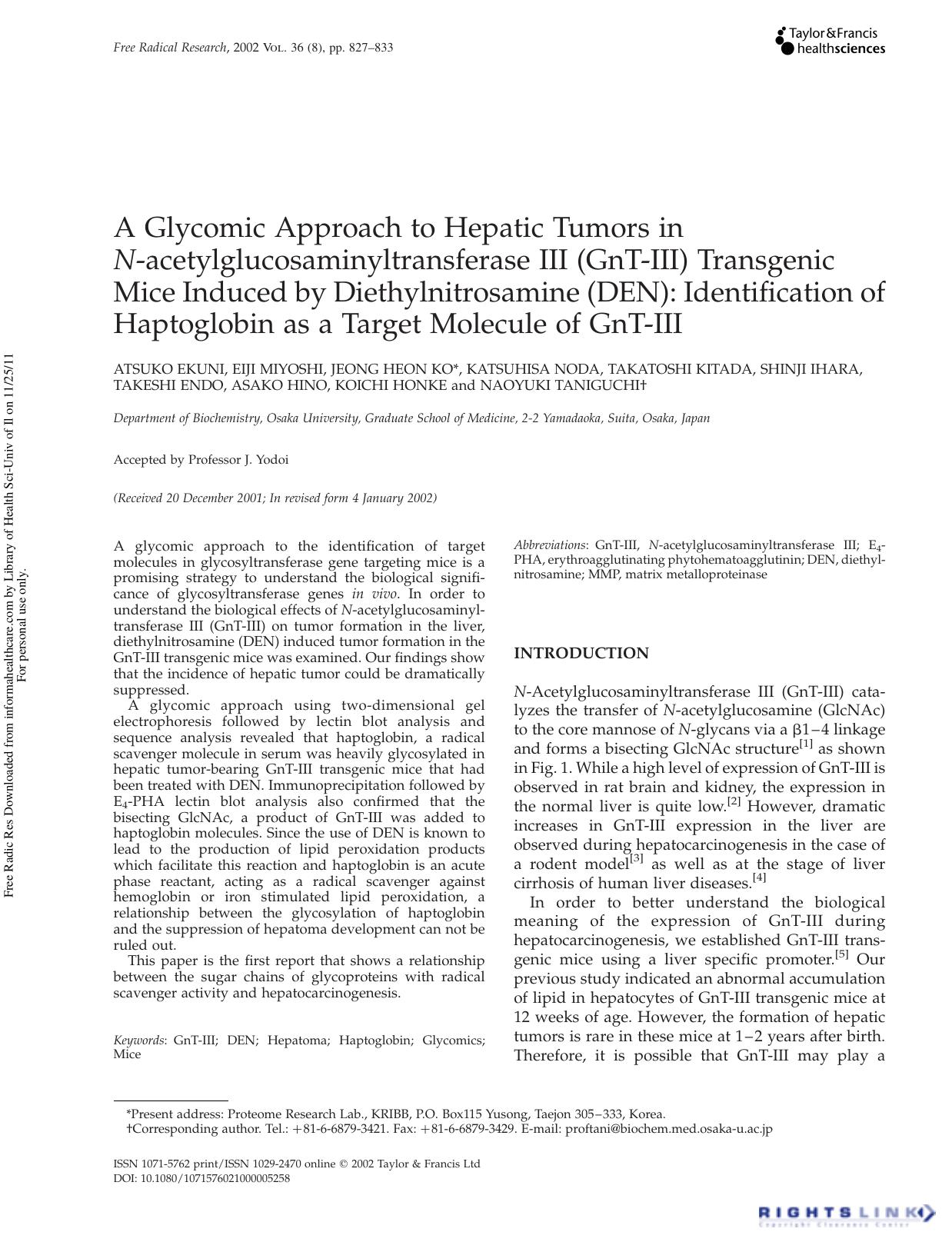 A Glycomic Approach to Hepatic Tumors in N -acetylglucosaminyltransferase III (GnT-III) Transgenic Mice Induced by Diethylnitrosamine (DEN): Identification of Haptoglobin as a Targ by unknow