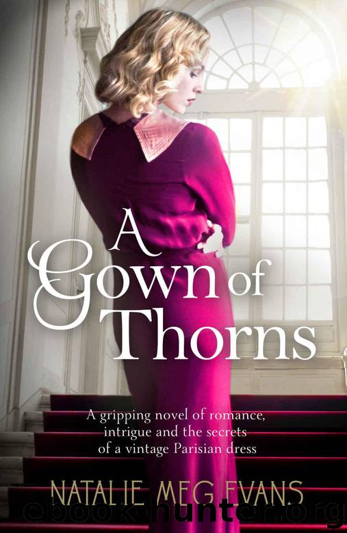 A Gown of Thorns: A Gripping Novel of Romance, Intrigue and the Secrets of a Vintage Parisian Dress by Natalie Meg Evans