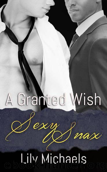 A Granted Wish by Lily Michaels