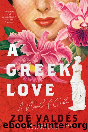 A Greek Love by Zoé Valdés