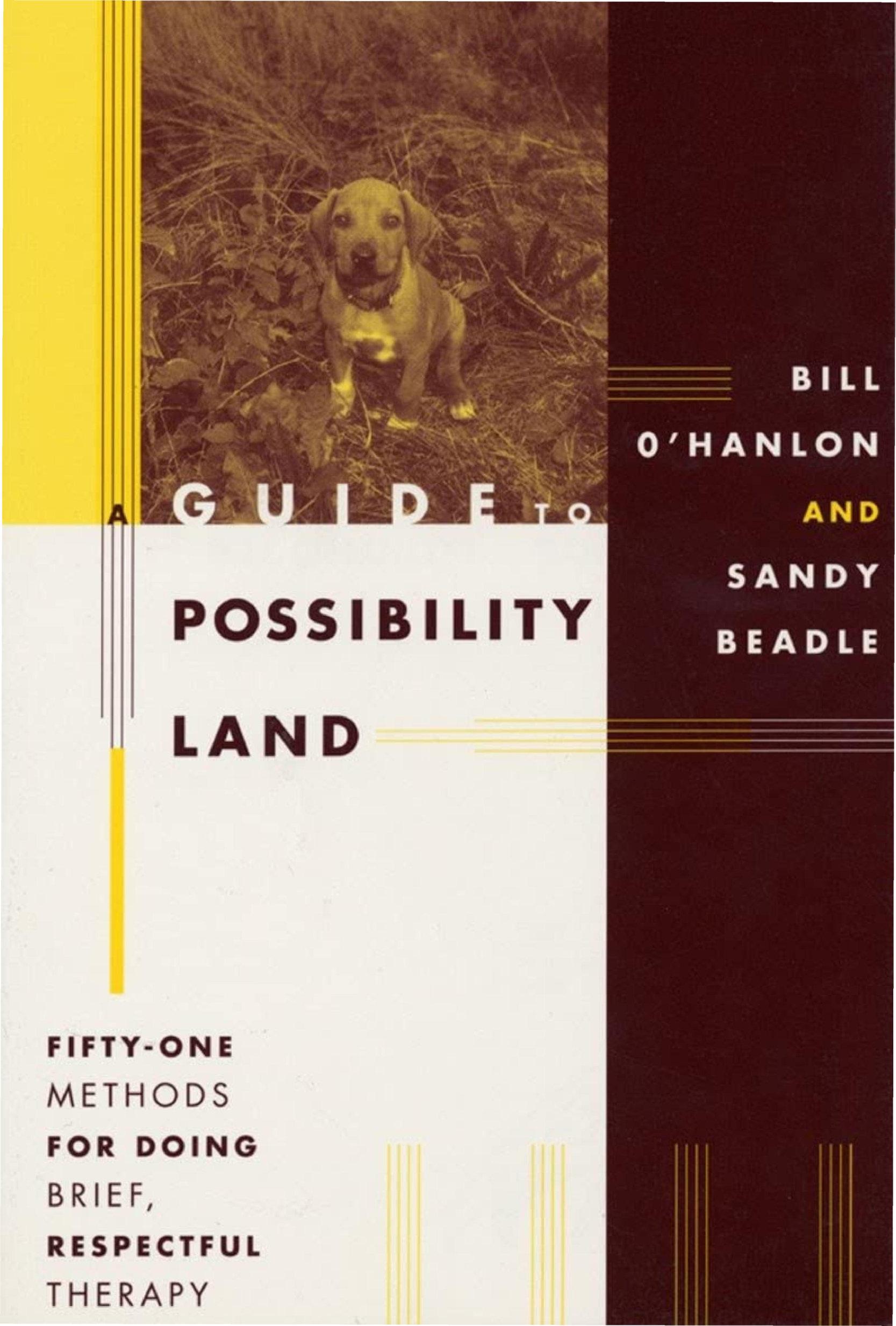 A Guide to Possibility Land: Fifty-One Methods for Doing Brief, Respectful Therapy by Sandy Beadle Bill O'Hanlon