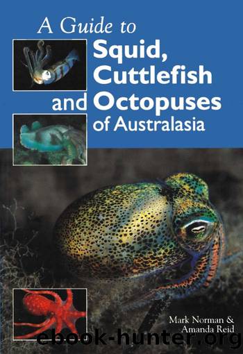 A Guide to Squid, Cuttlefish and Octopuses of Australasia by Mark Norman && Amanda Reid