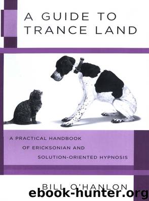 A Guide to Trance Land by Bill O'Hanlon