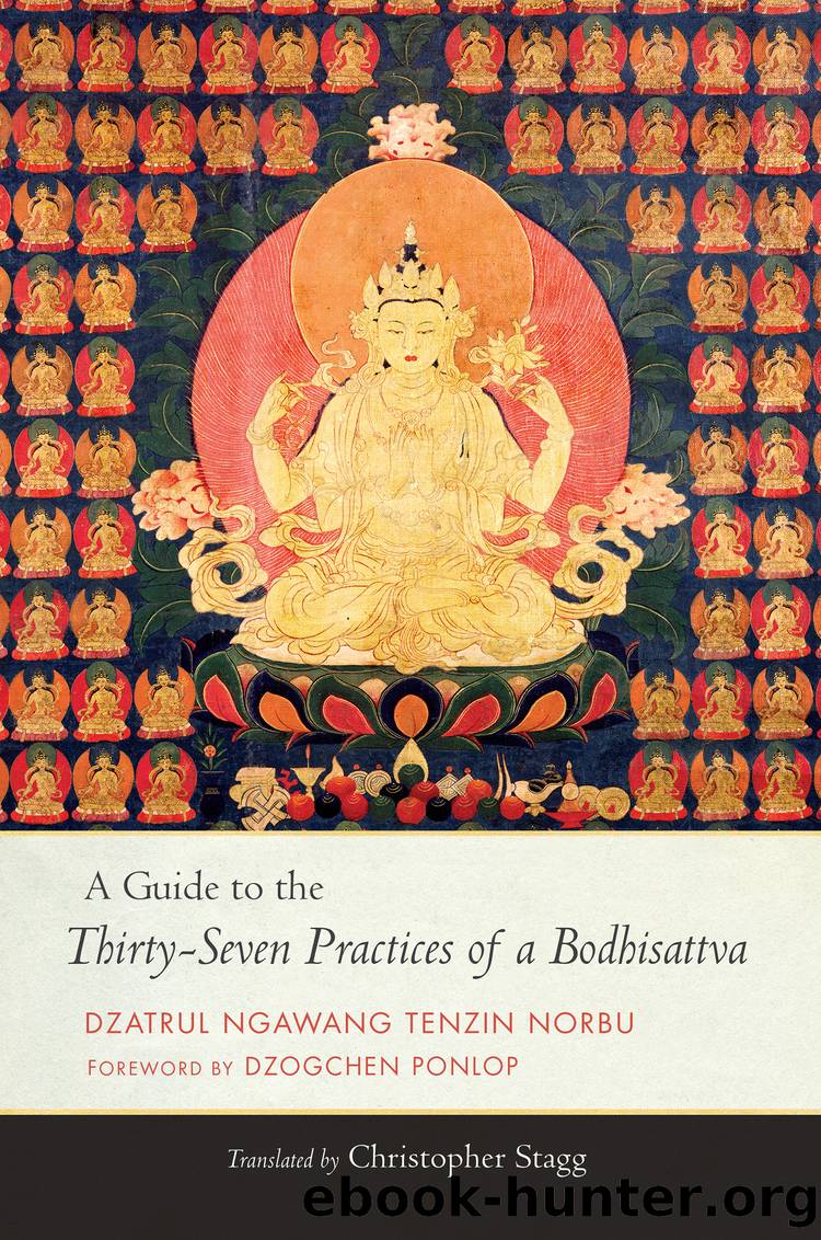 A Guide to the Thirty-Seven Practices of a Bodhisattva by Ngawang Tenzin Norbu