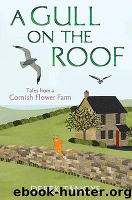 A Gull on the Roof by Derek Tangye