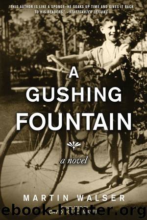A Gushing Fountain by Martin Walser