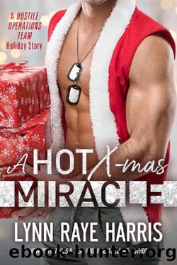 A HOT Christmas Miracle: A Hostile Operations Team Holiday Story by Lynn Raye Harris