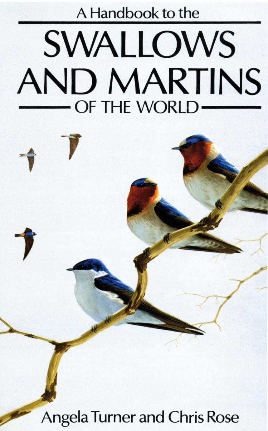 A Handbook to the Swallows and Martins of the World by Angela Turner;Chris Rose;