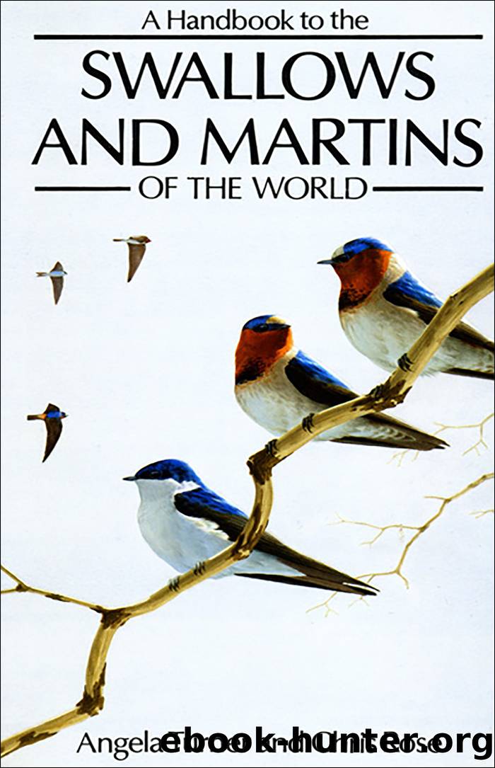 A Handbook to the Swallows and Martins of the World by Angela Turner