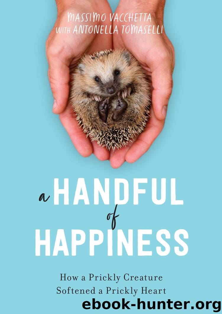 A Handful of Happiness by Massimo Vacchetta & Antonella Tomaselli & Jamie Richards