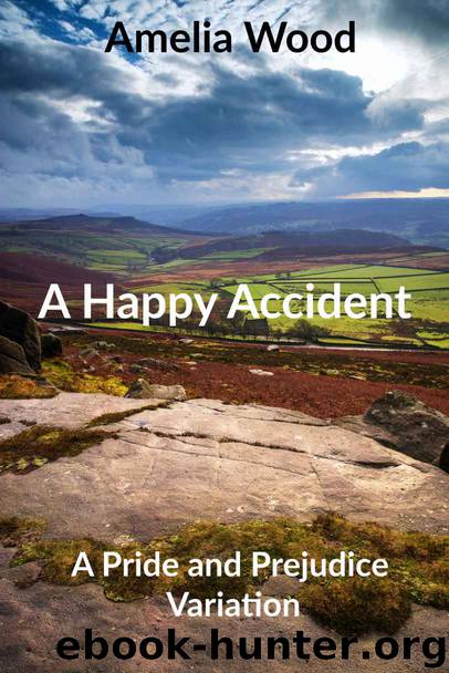 A Happy Accident by Amelia Wood