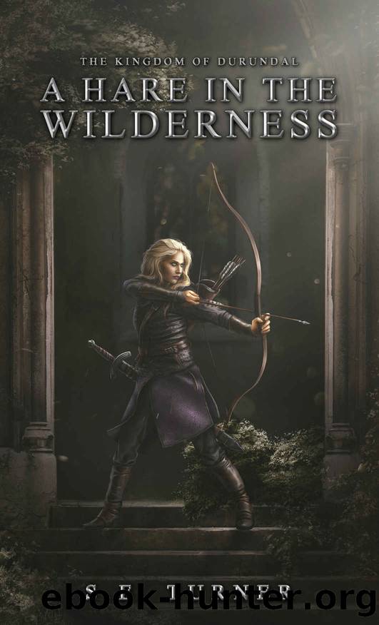 A Hare in the Wilderness by S. E. Turner