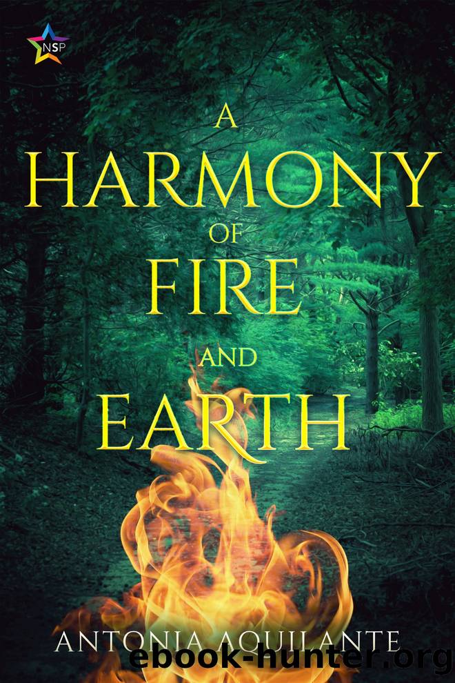 A Harmony of Fire and Earth by Antonia Aquilante