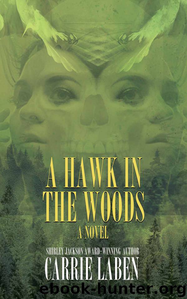 A Hawk in the Woods by Carrie Laben