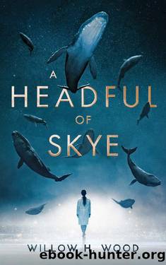 A Headful of Skye by Willow H. Wood