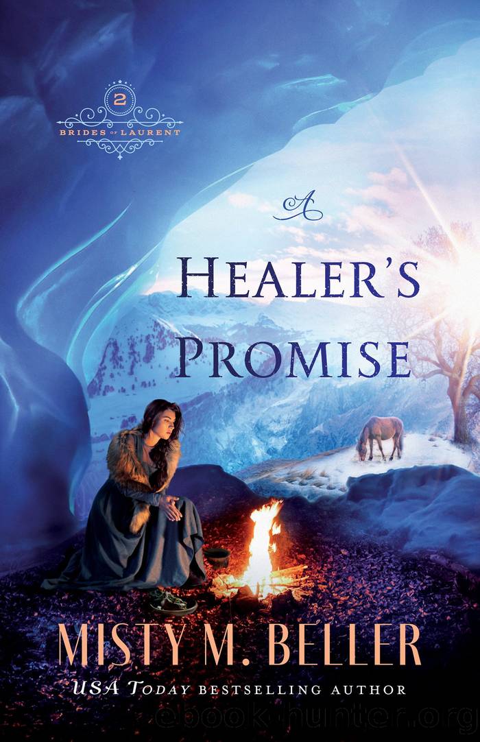 A Healerâs Promise by Misty M. Beller